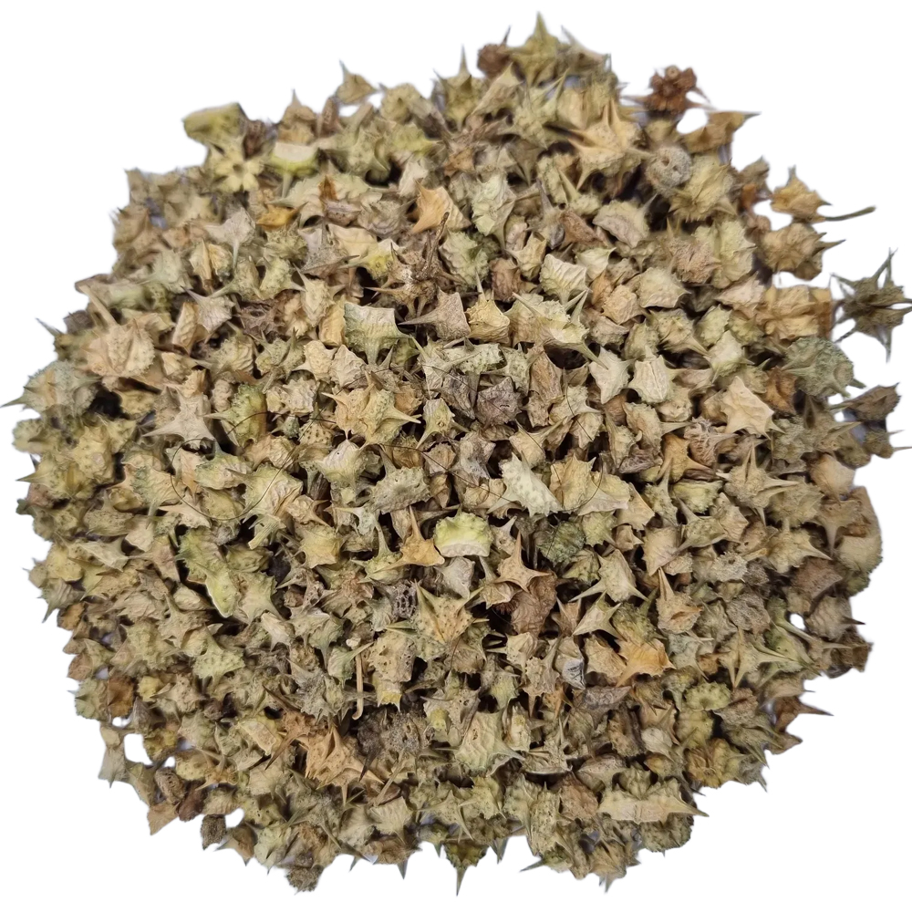 백질려(6kg)