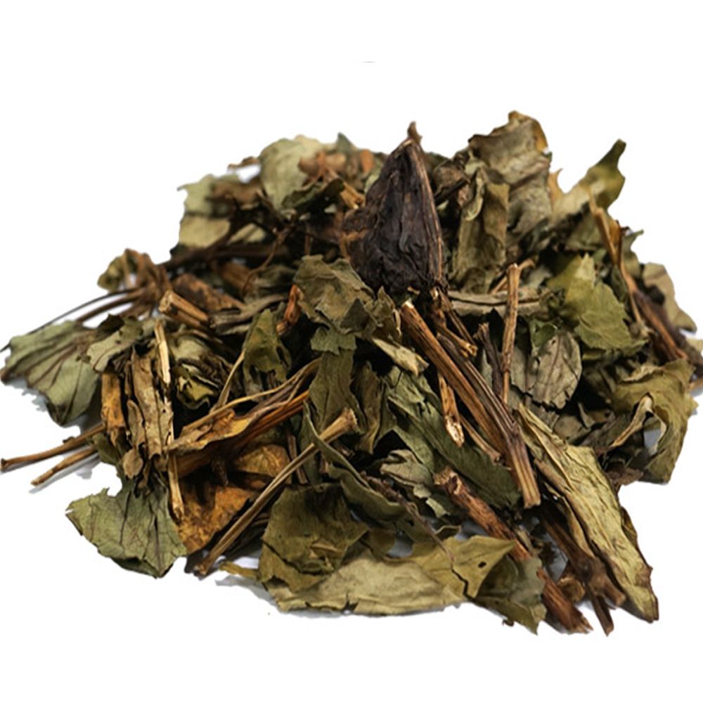 삼백초(국내산 3kg)