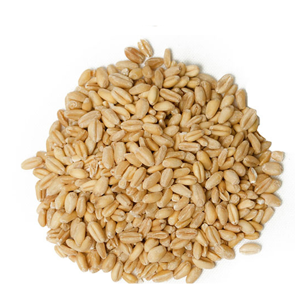 소맥/밀(미국산 3kg)