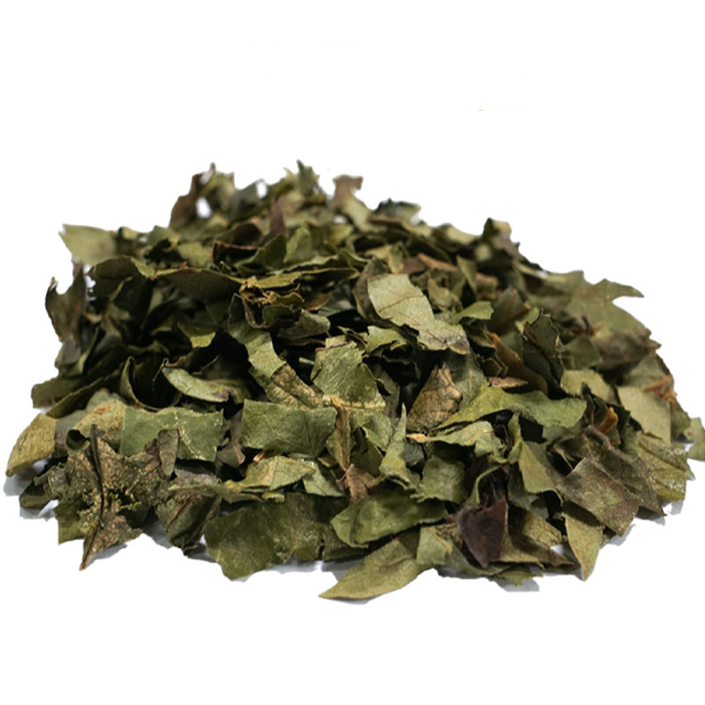 시엽 감잎(국내산 3kg)