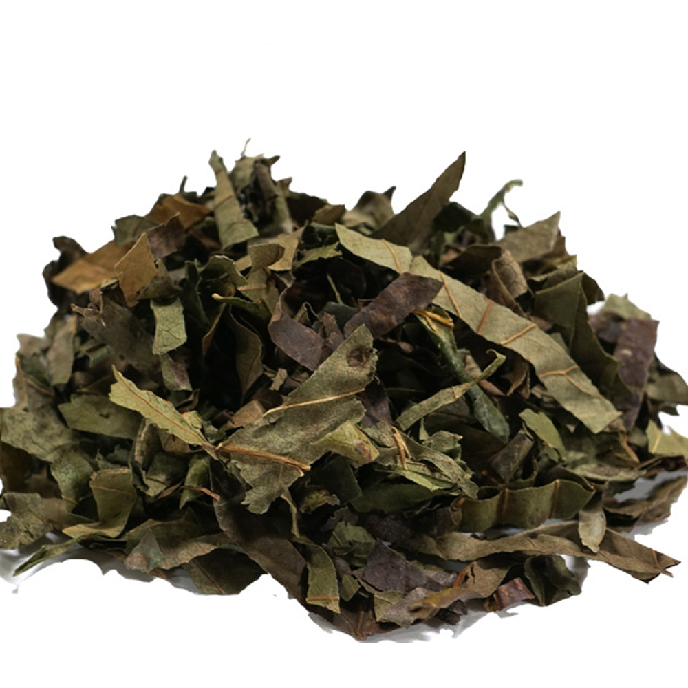 시엽(중국산 3kg)