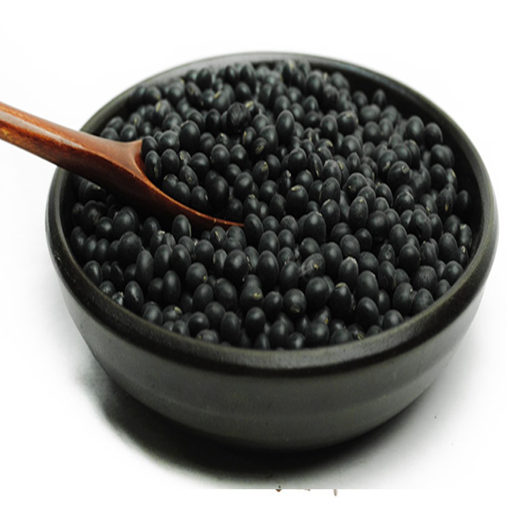 약콩(국내산 3kg)