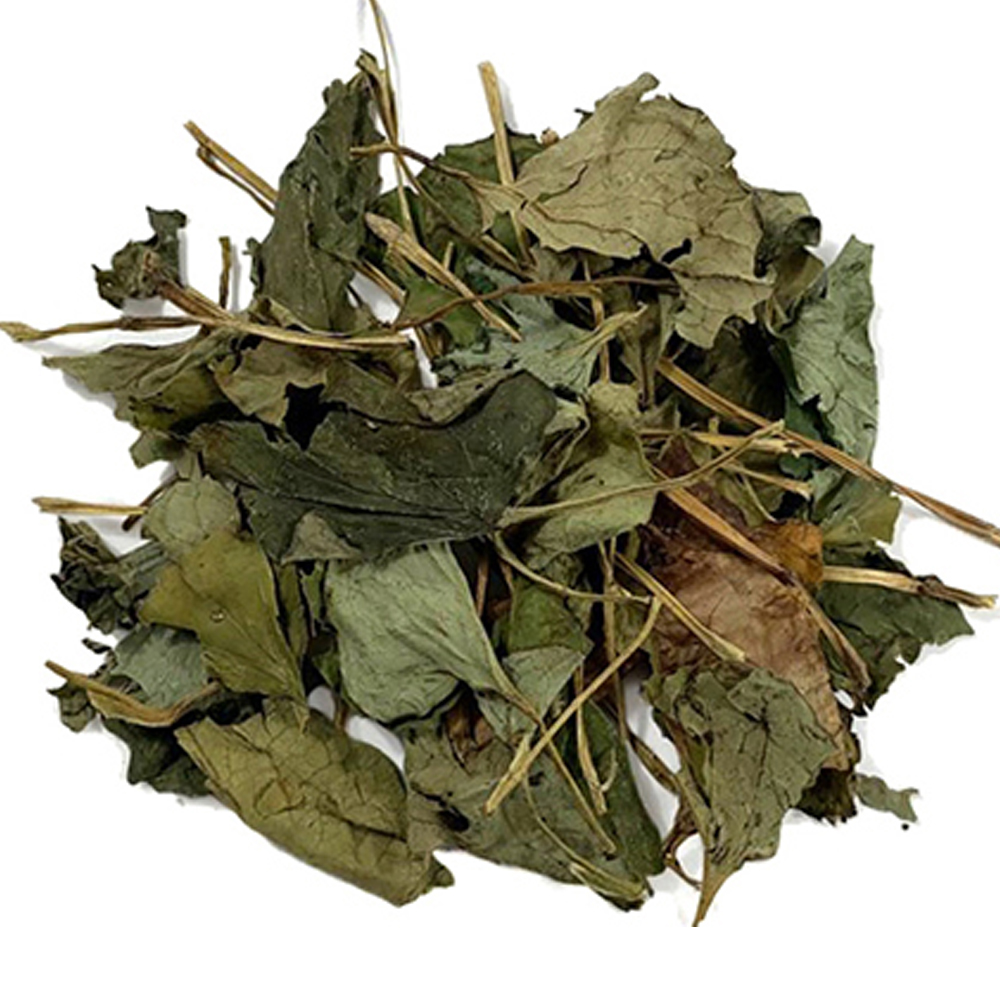 어성초(국내산 3kg)