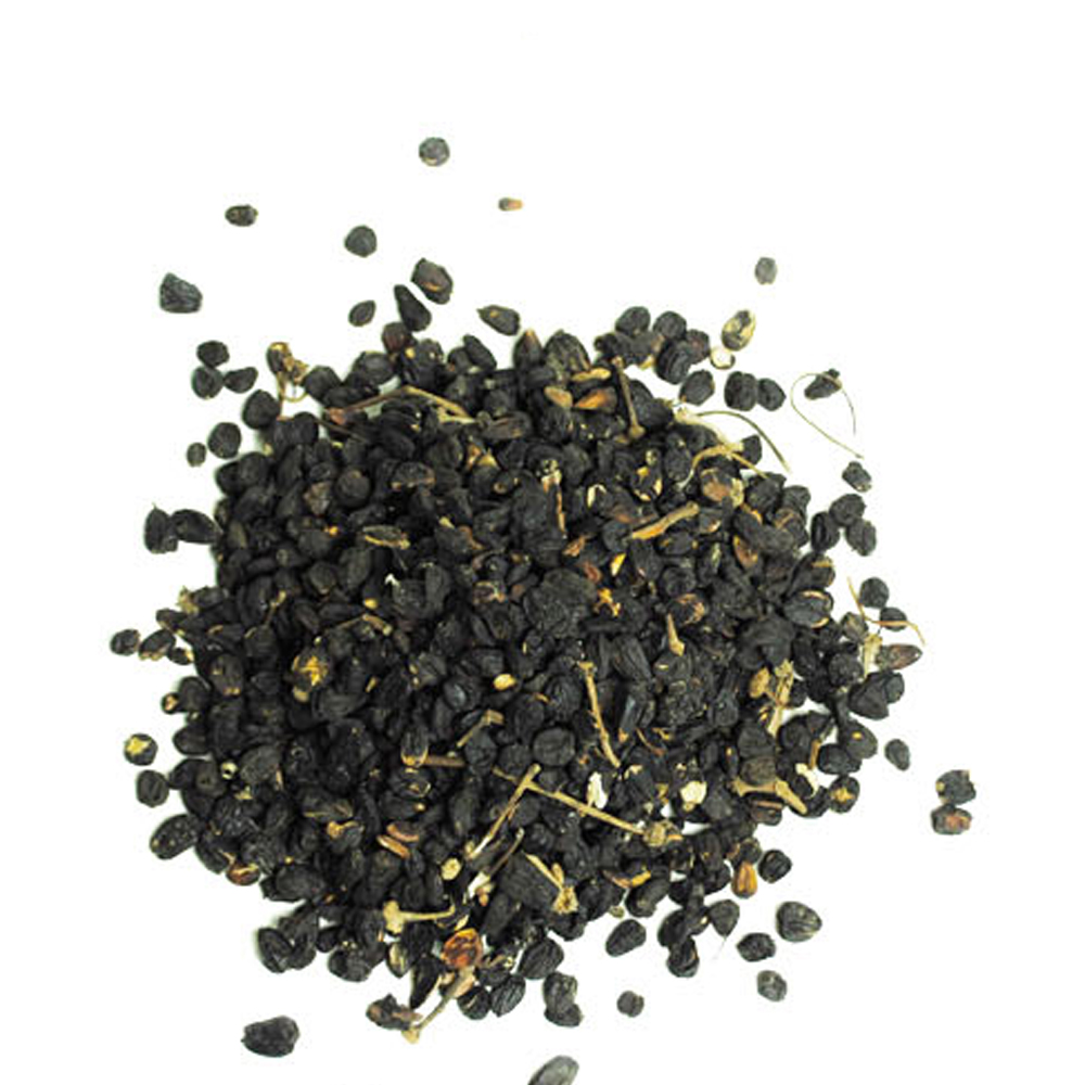 오가피나무열매(국내산 3kg)