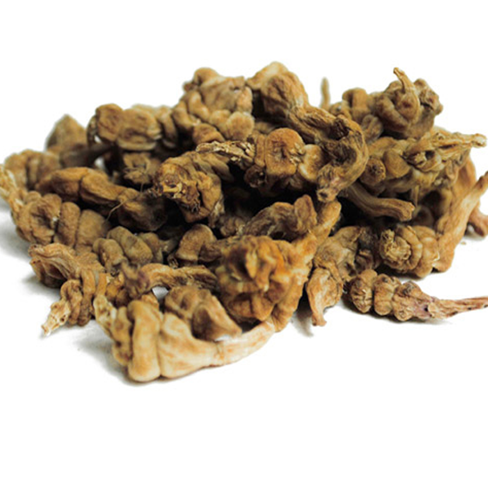 초석잠(중국산 3kg)