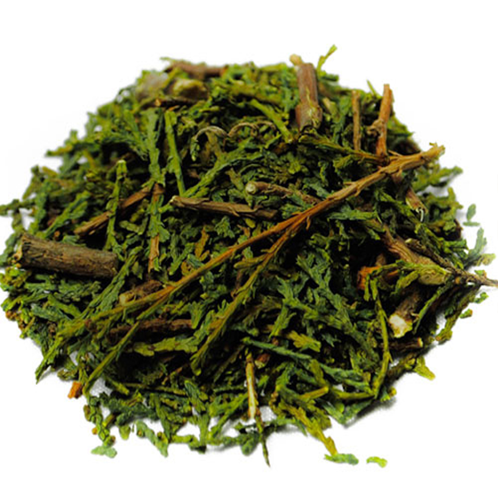 측백(국내산 3kg)