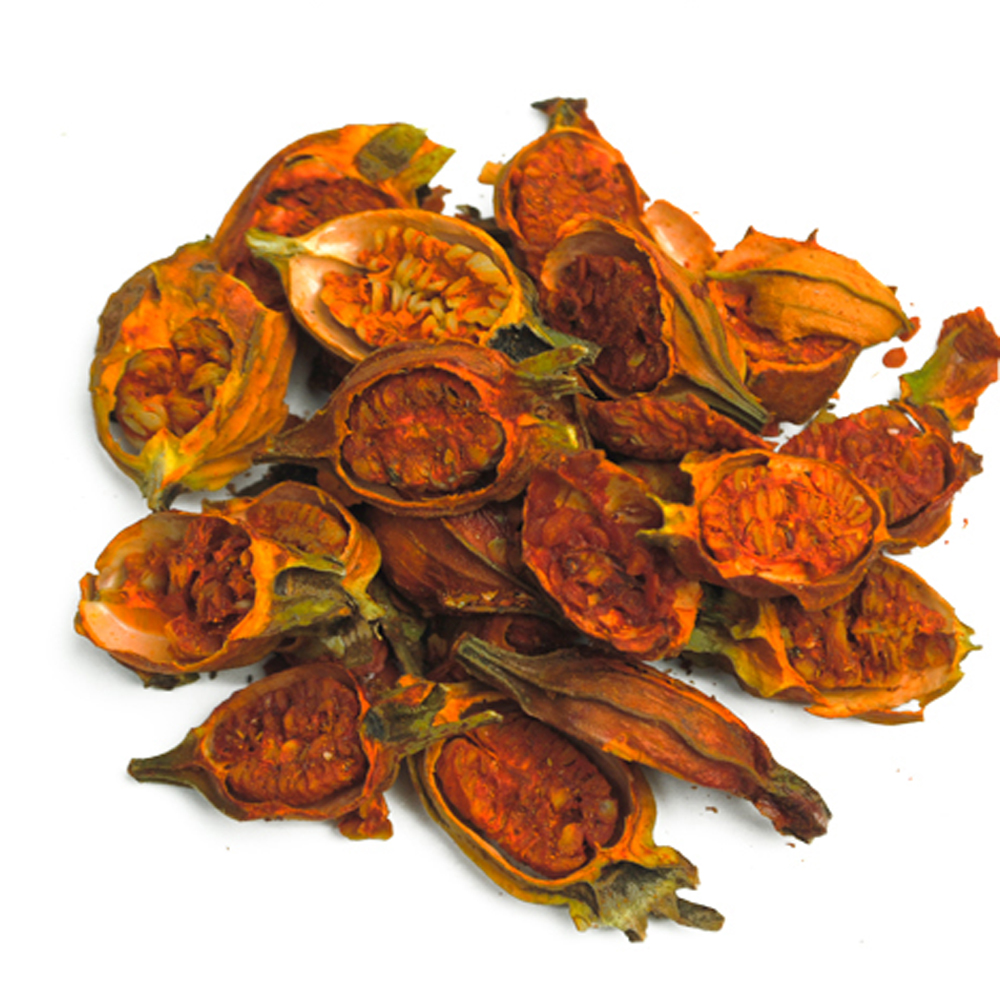 치자열매 절단(국내산 3kg)