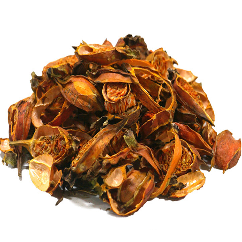 치자절(중국산 3kg)