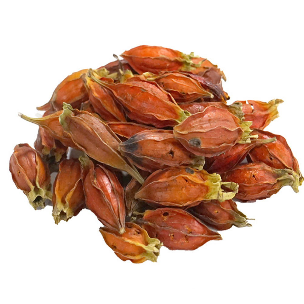 치자통(중국산 3kg)