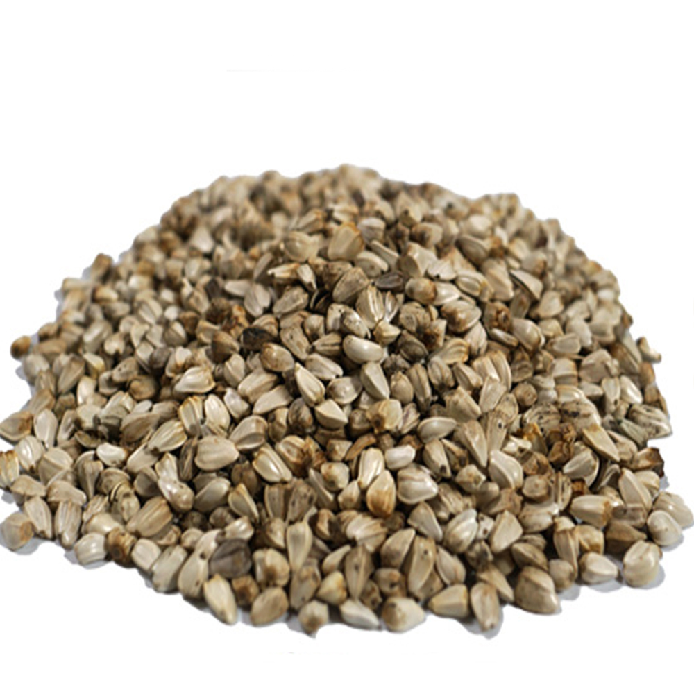 홍화씨(국내산 3kg)