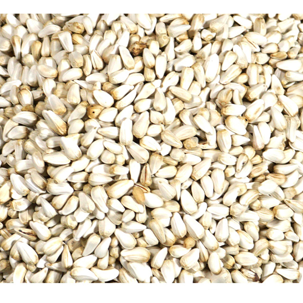 홍화씨(인도산 3kg)