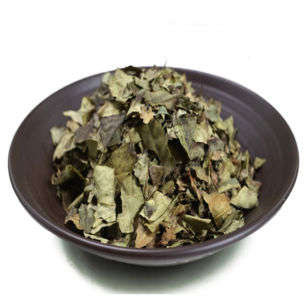 구찌뽕잎(국내산 3kg)