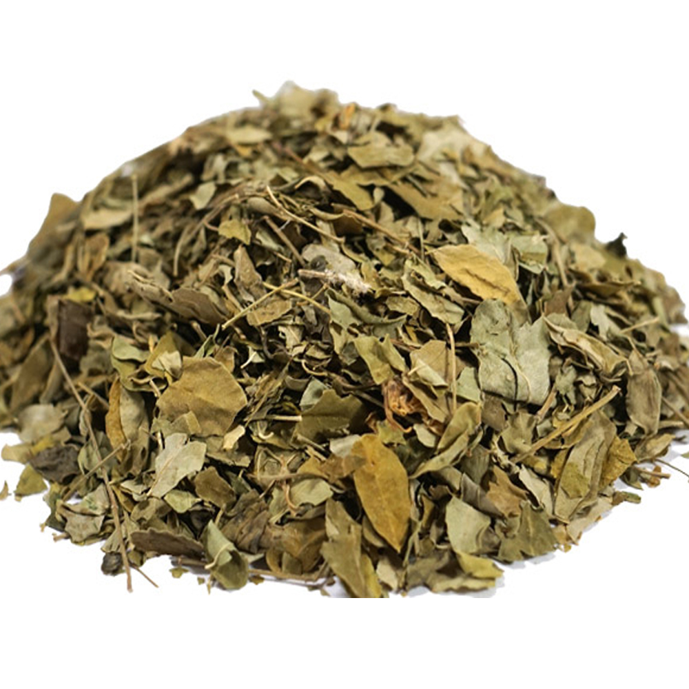 모링가잎(인도네시아산 3kg)