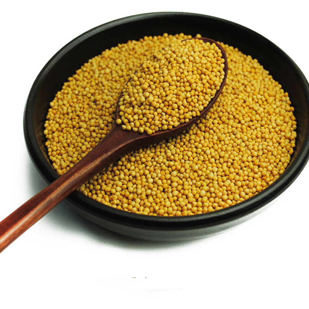 백개자 겨자씨(인도산 3kg)