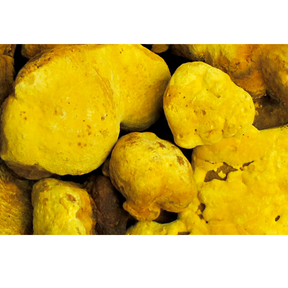 상황버섯 / 국내산 (150g)