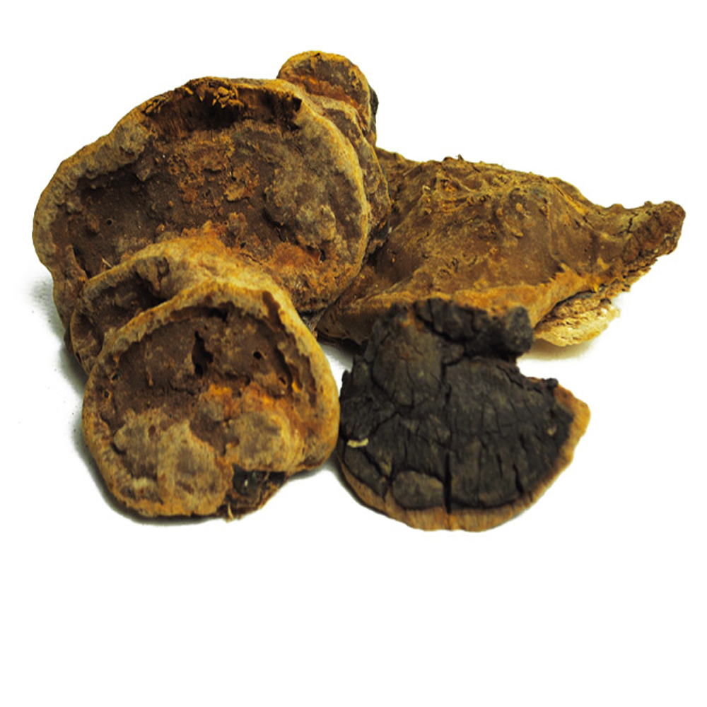 상황버섯 / 중국산 (500g)