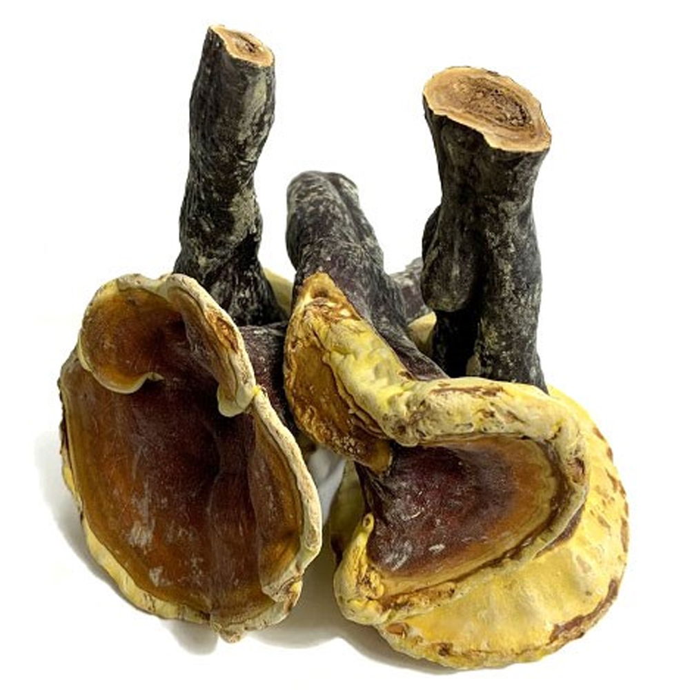 영지버섯갓대 / 중국산 (500g)