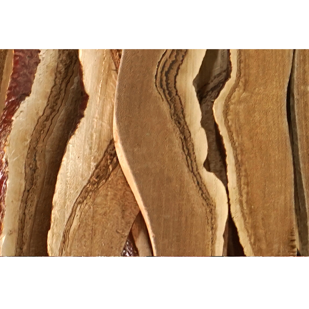 영지버섯절 / 국내산 (300g)