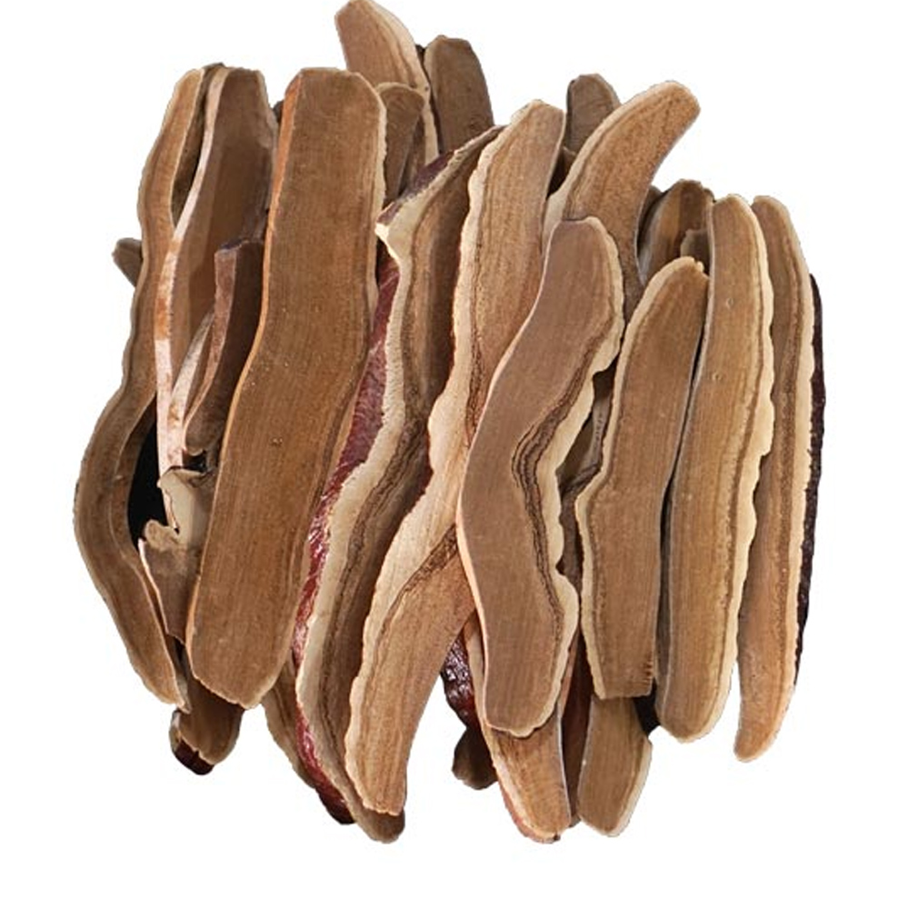 영지버섯절 / 중국산 (1kg)