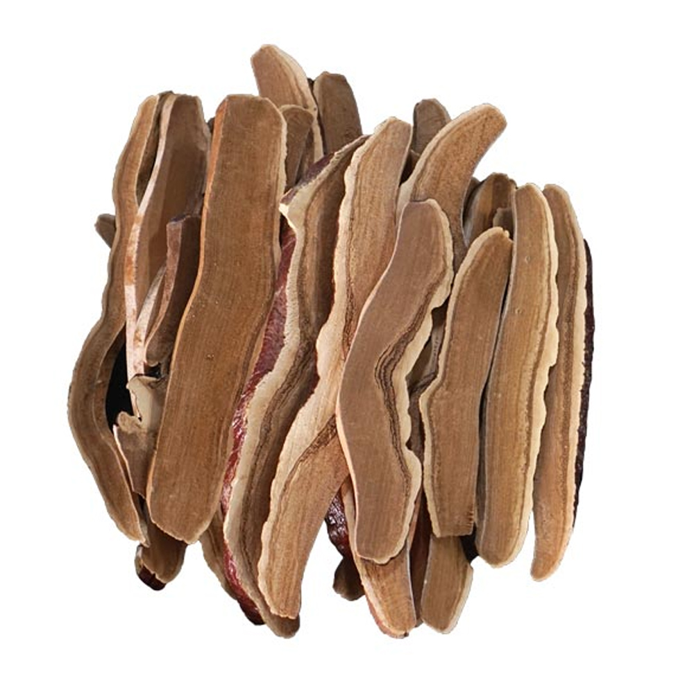 영지버섯절 / 중국산 (250g)