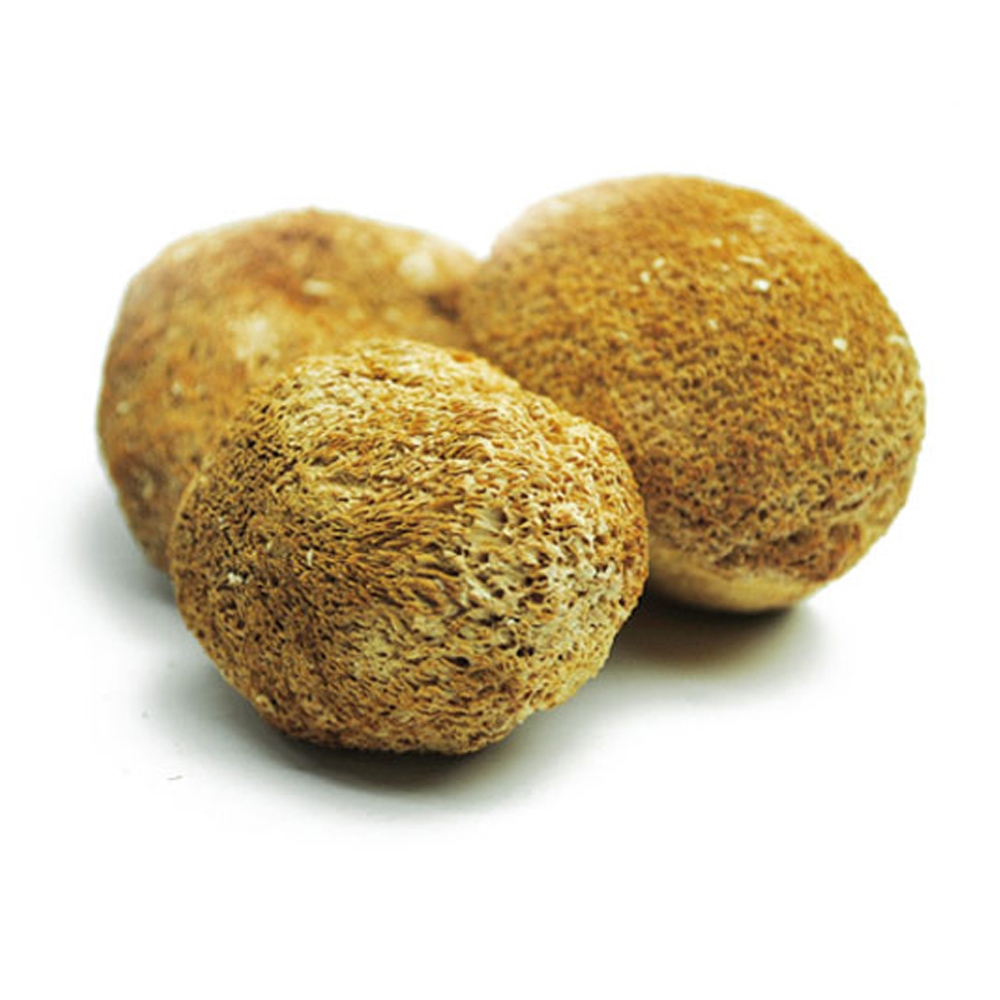 노루궁뎅이버섯 / 중국산 (500g)