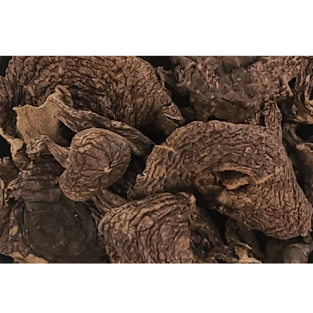 능이버섯 / 중국산 (1kg)