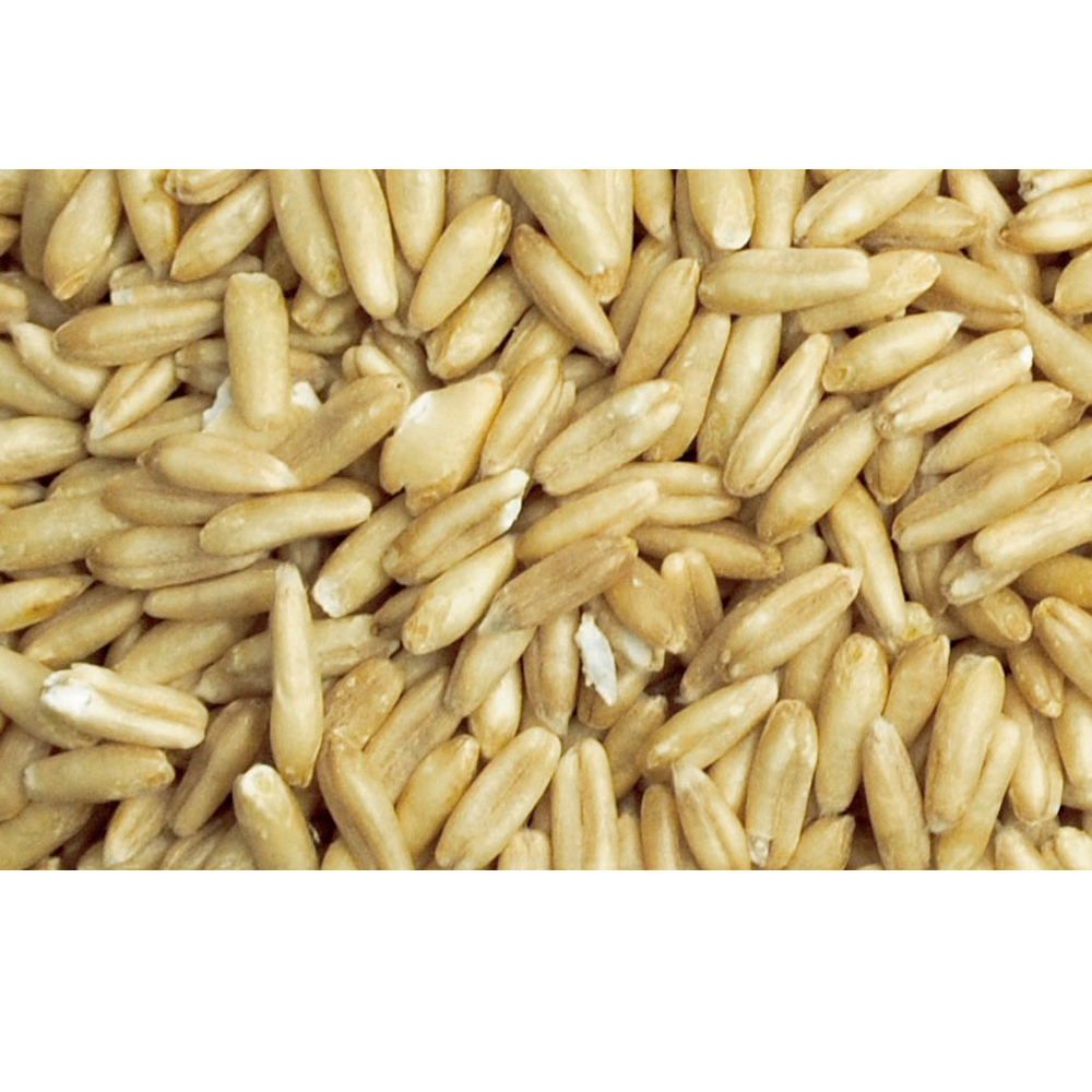 귀리/캐나다산 1kg