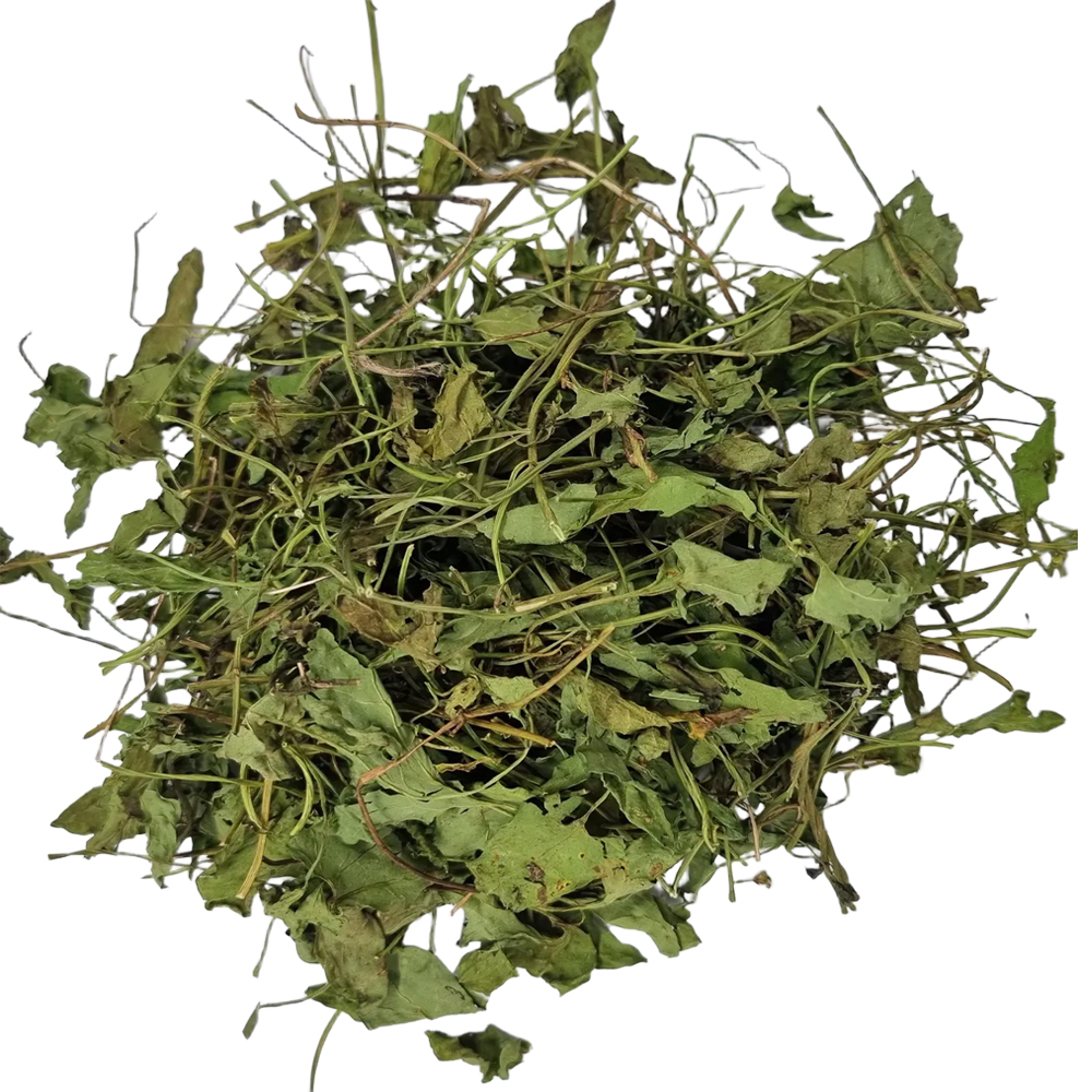 국내산 뫼꽃(메꽃, 선화 旋花)150g